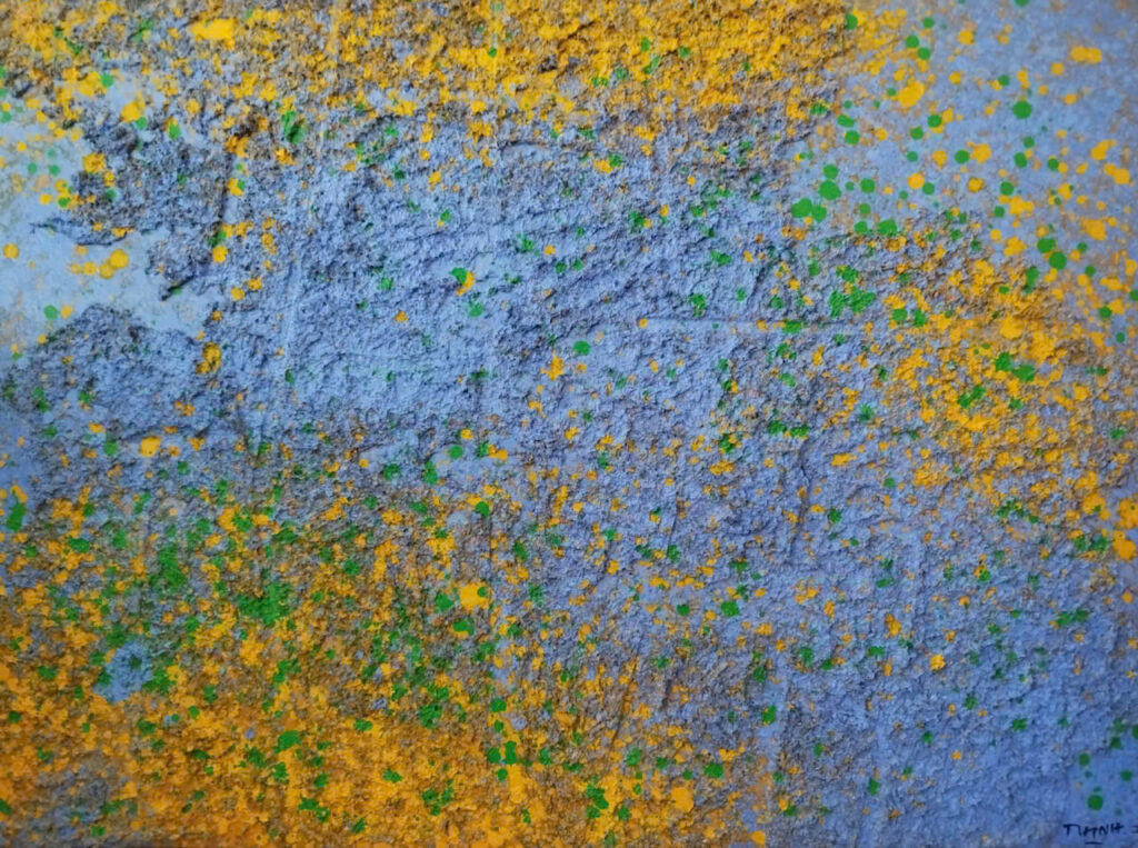Tường hoa Size: 90X130cm Material: Mix Media Artist: Trần Vĩnh Thịnh