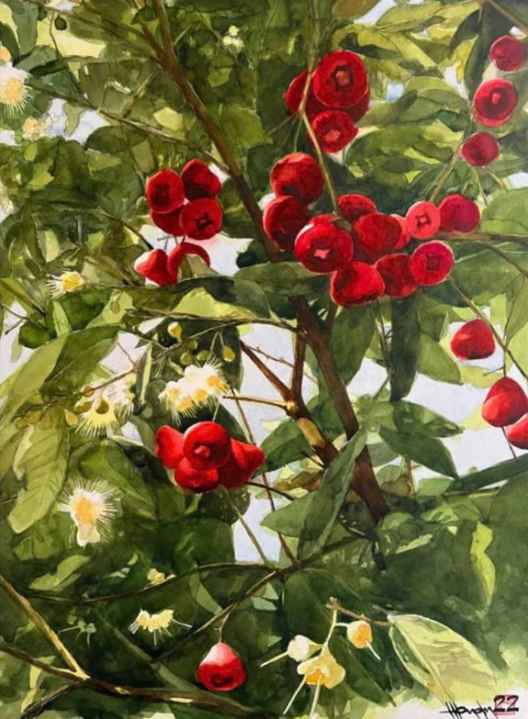 Mùa Mận Chín Size: 56cmx 76cm Material: Water Color Artist: Nguyễn Hồng Quân Year: 2022